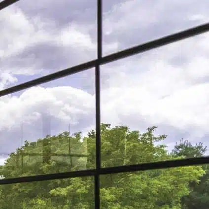 clear.jpg